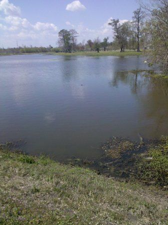 Bayou Segnette State Park
